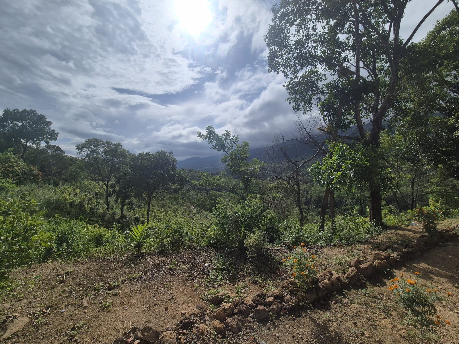 Paisaje montañoso de Sri Lanka